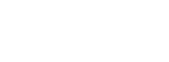Network Ireland